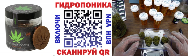 наркота Ковров hydra ТОР Canna-Cookies конопля