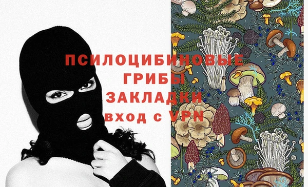 ешки Абаза