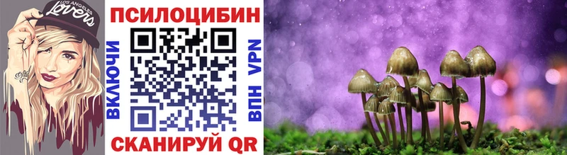 Псилоцибиновые грибы Psilocybine cubensis  Ковров 