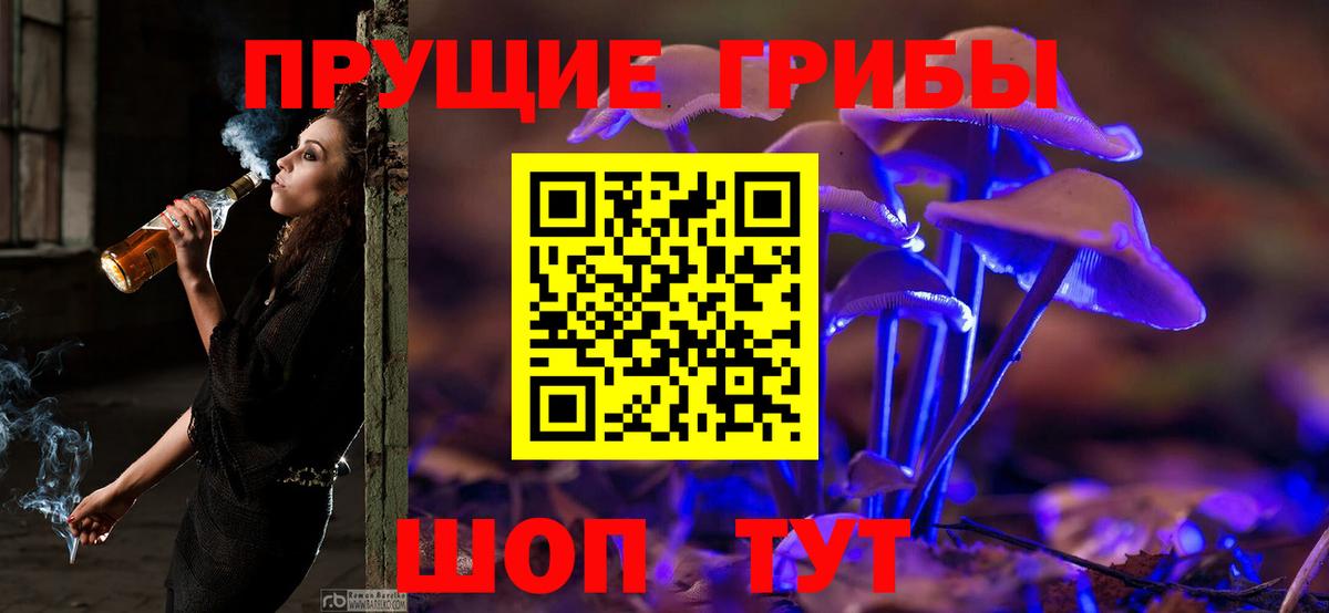 Ковров  Галлюциногенные грибы GOLDEN TEACHER  Галлюциногенные грибы Psilocybe  Вход с VPN 